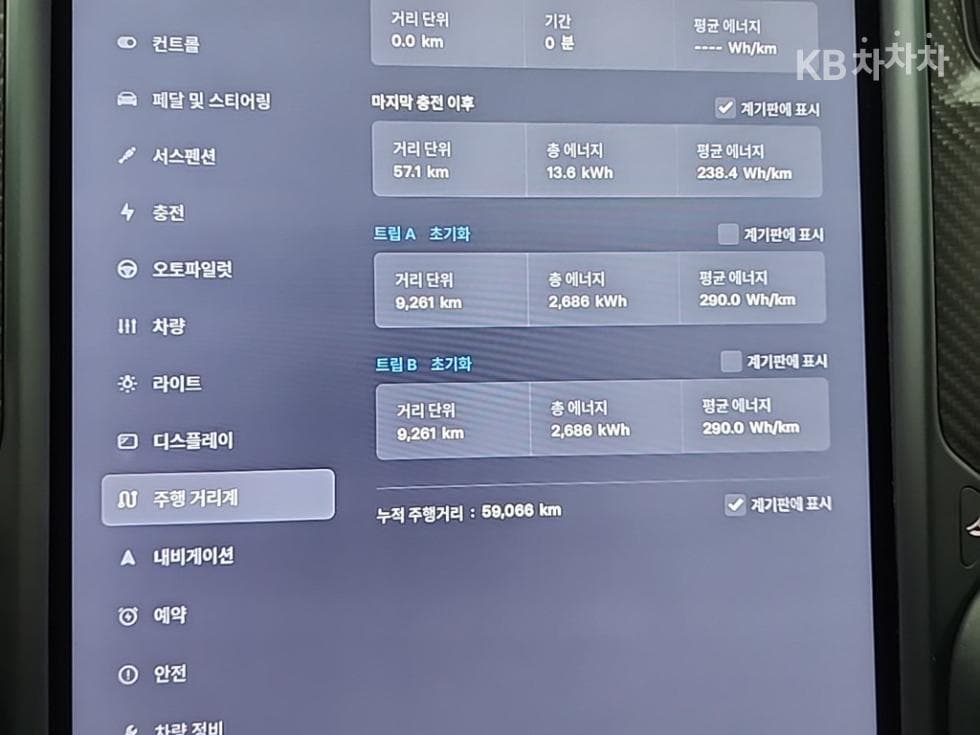 (64무3078)테슬라 Model XPerformance - 6