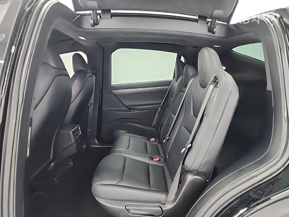 (64무3078)테슬라 Model XPerformance - 12