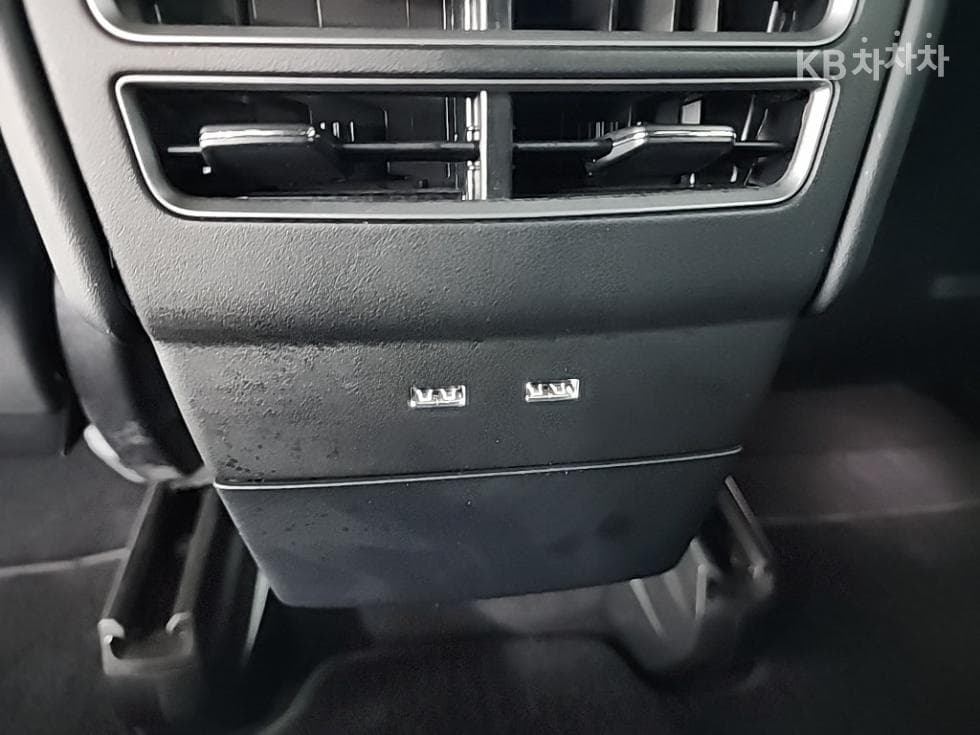 (64무3078)테슬라 Model XPerformance - 13