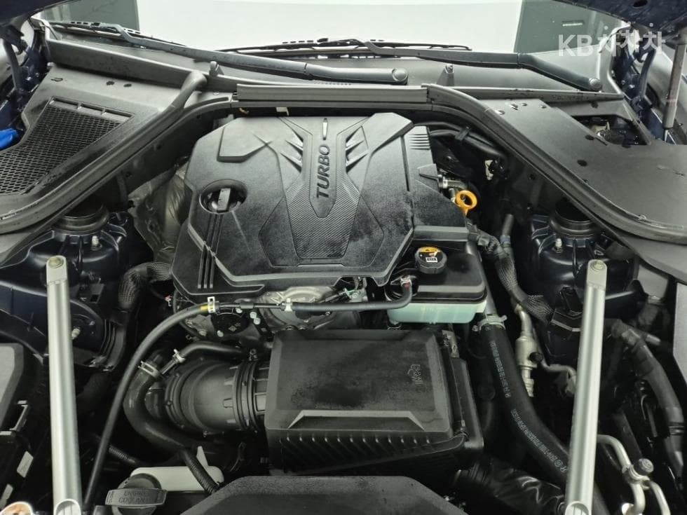 Дженезис G80(RG3)2.5 Турбо Бензин Директ Инжекция 2WD - 6