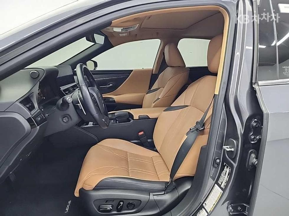 Lexus Нов 제너Рей (ван)션 ES300h Executive - 11