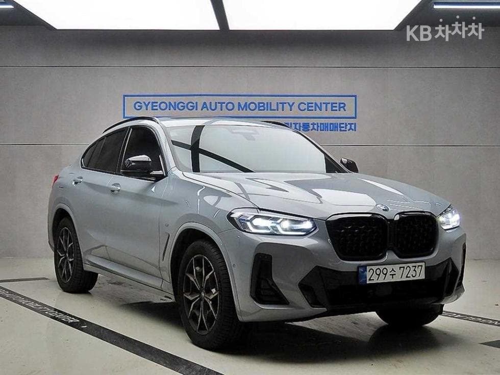BMW New X4 (G02) xDrive 20i xLine - Image 1