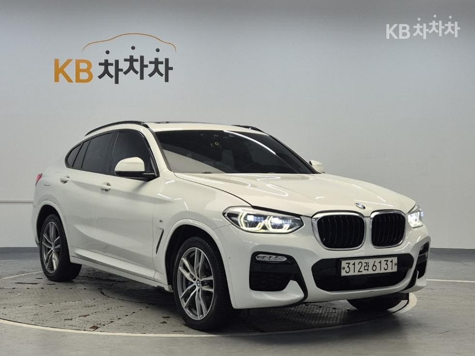 BMW X4 (F26)20d xDrive M 스포츠 - 4