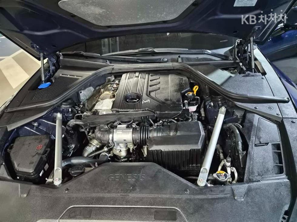 Genesis G80(RG3)2.2 VGT AWD - 19