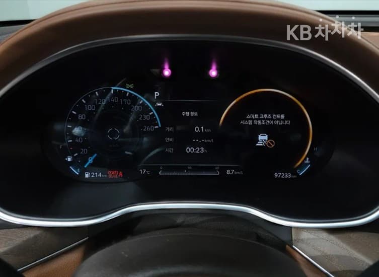 Дженезис G80(RG3)2.5 Турбо Бензин Директ Инжекция 2WD - 8