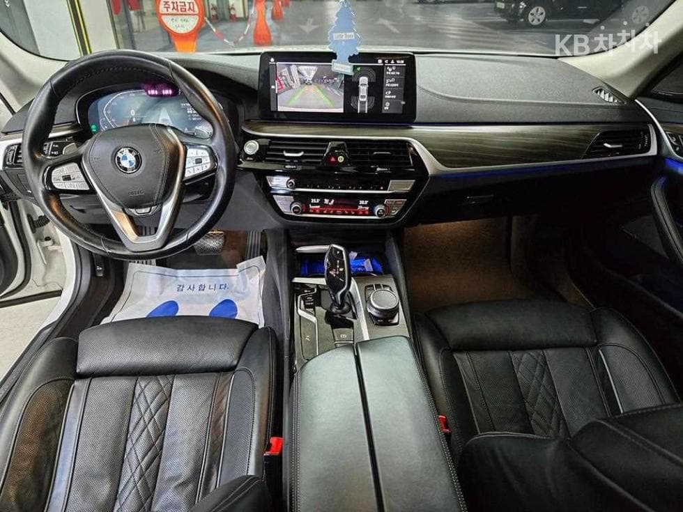 BMW 올Нов5 Серия (G30)530i xDrive Luxury - 10