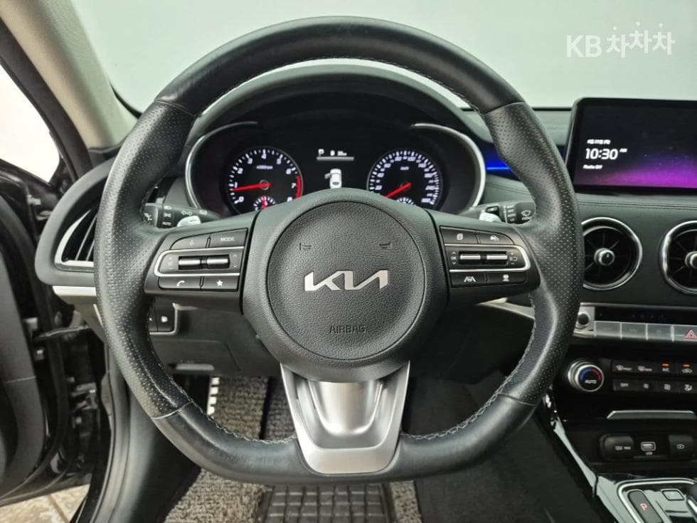 Kia Stinger Meister2.5L gasoline Turbo 2WD 플래티넘 - 9