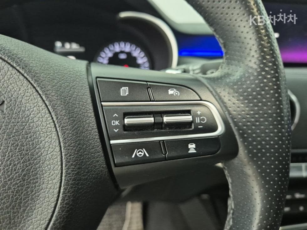 Kia Stinger Meister2.5L gasoline Turbo 2WD 플래티넘 - 15
