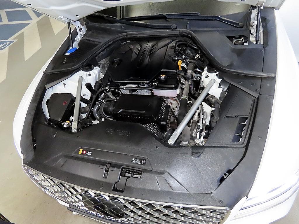 Дженезис G80(RG3)2.5 Турбо Бензин Директ Инжекция AWD - 19