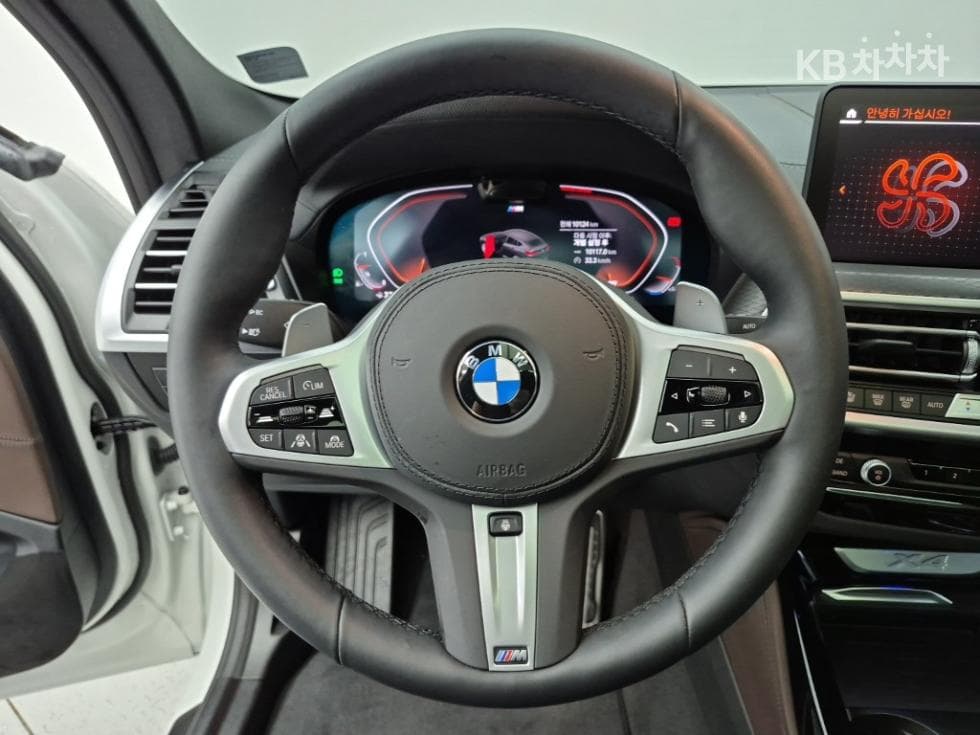 BMW New X4 (G02)xDrive 20i M Sport Pro - 9
