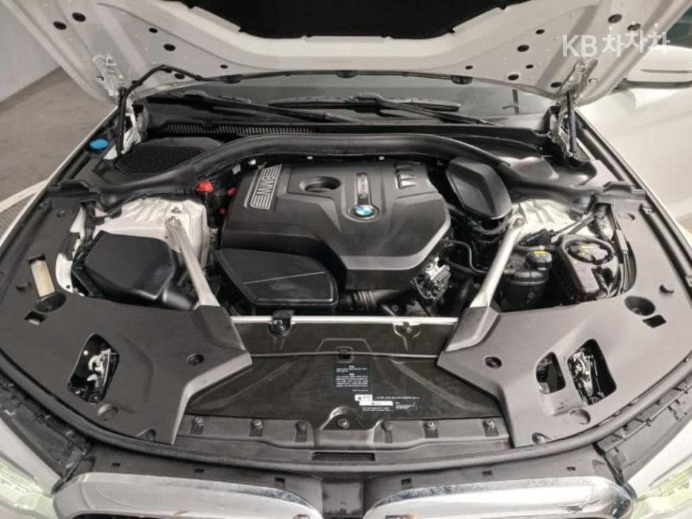 BMW 올New5 Series (G30)530i M Sport Plus - 19
