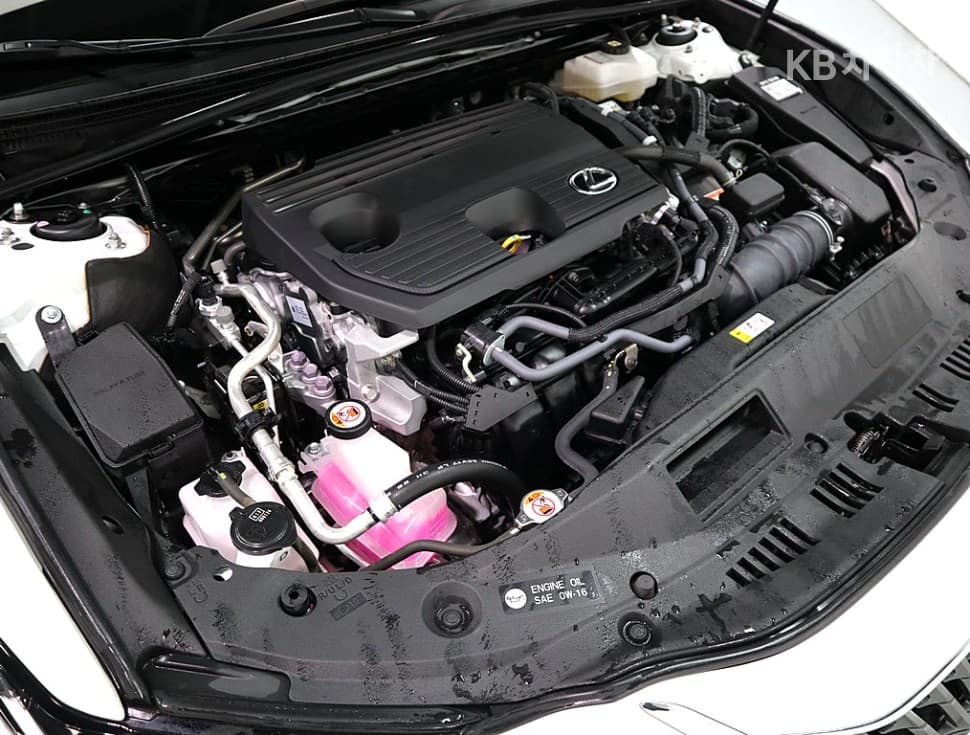 Lexus New 제너Ray (van)션 ES300h Luxury+ - 6