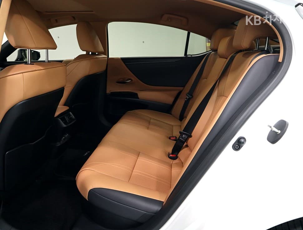 Lexus New 제너Ray (van)션 ES300h Luxury+ - 10