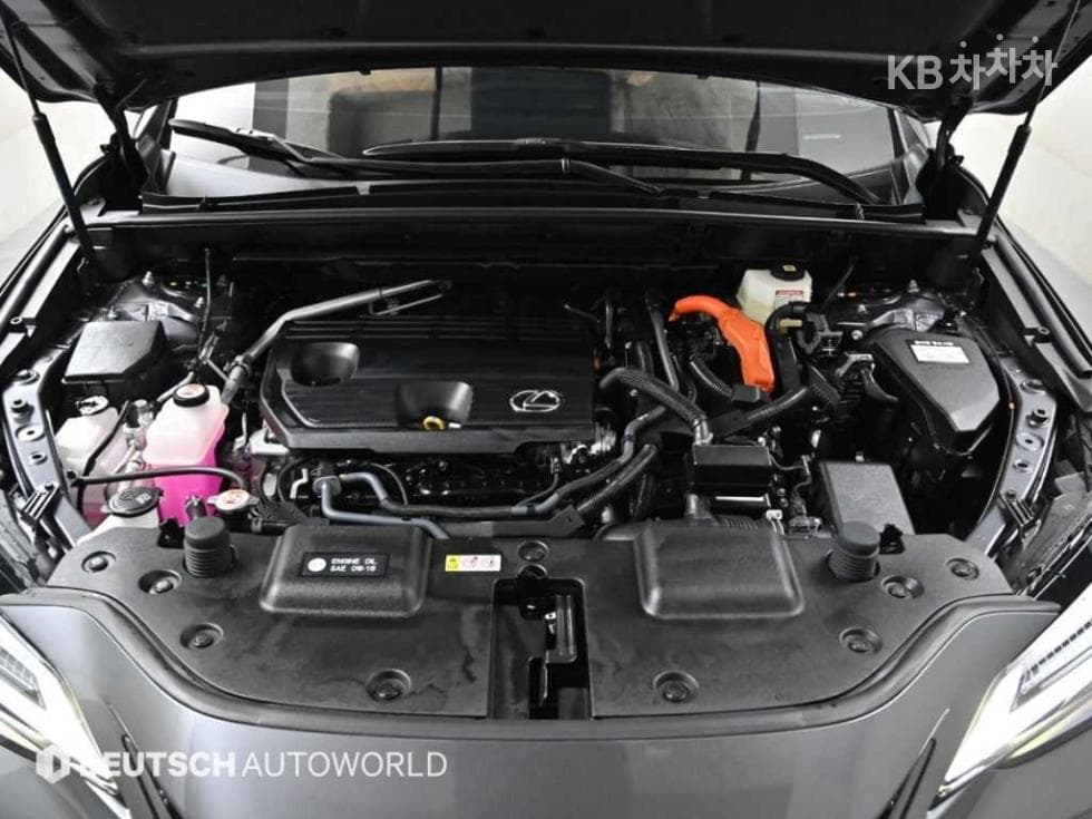 Lexus NX (Lexus SUV)(AZ20)350h Luxury - 6