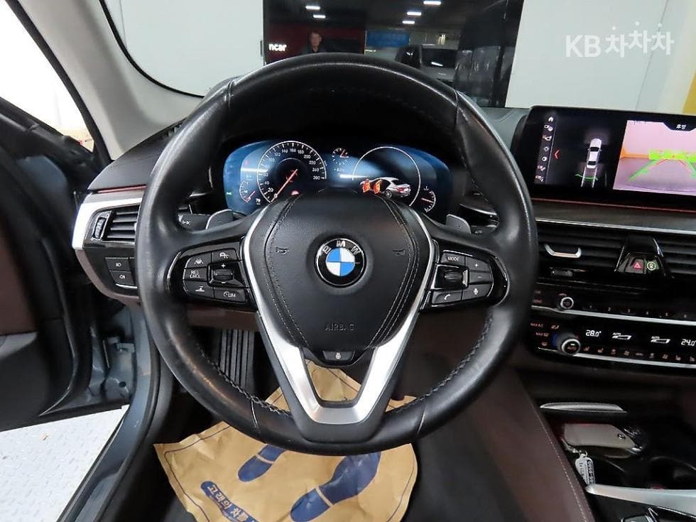 BMW 올New5 Series (G30)520d xDrive Luxury Plus - 9