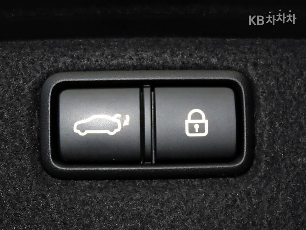 Genesis G803.3 GDI AWD Luxury Special (special feature/edition) - 17