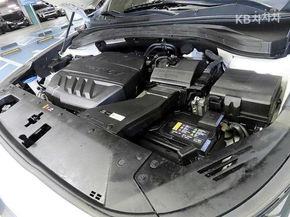 Hyundai Santa Fe TMDiesel 2.2 4WD Inspiration - 19