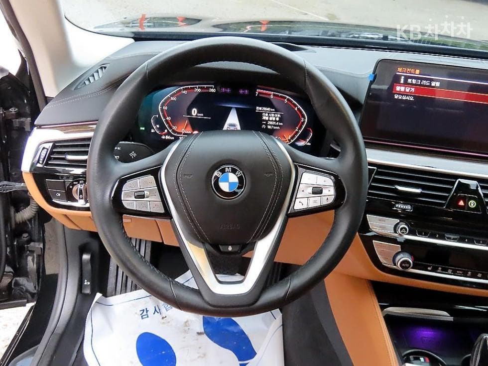 BMW 올New5 Series (G30)520i Luxury - 8