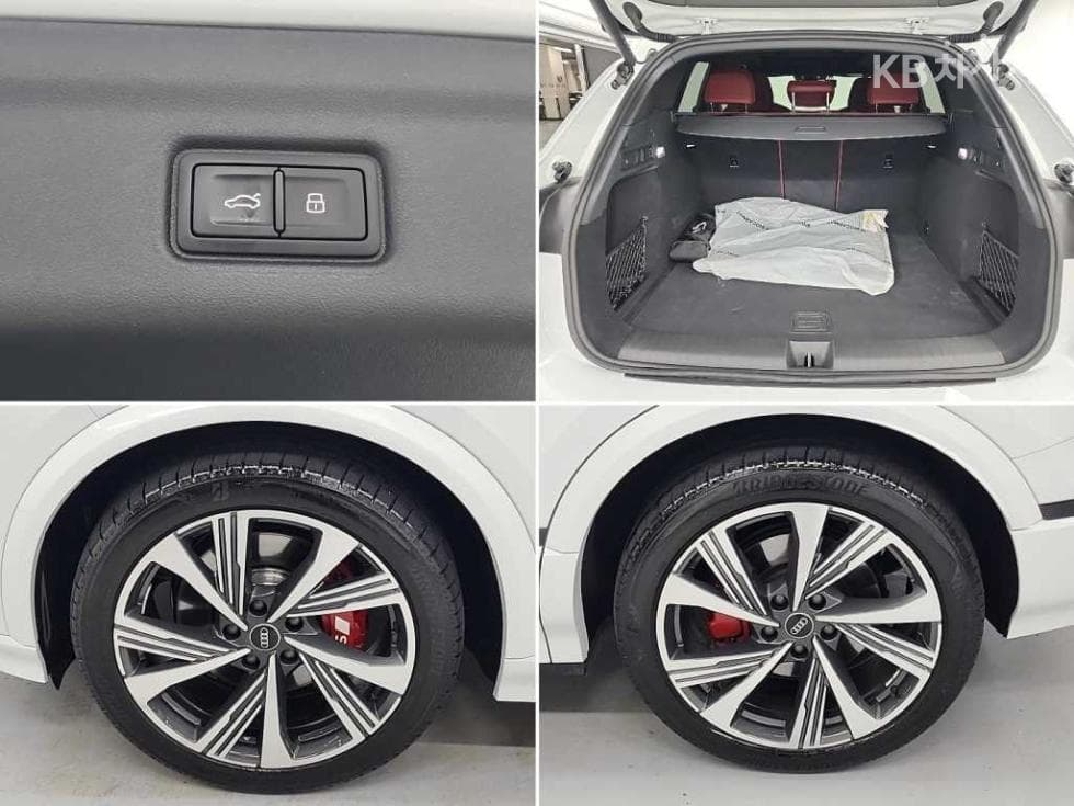 Audi SQ6 e-tron(GF)Quattro Standard - 19