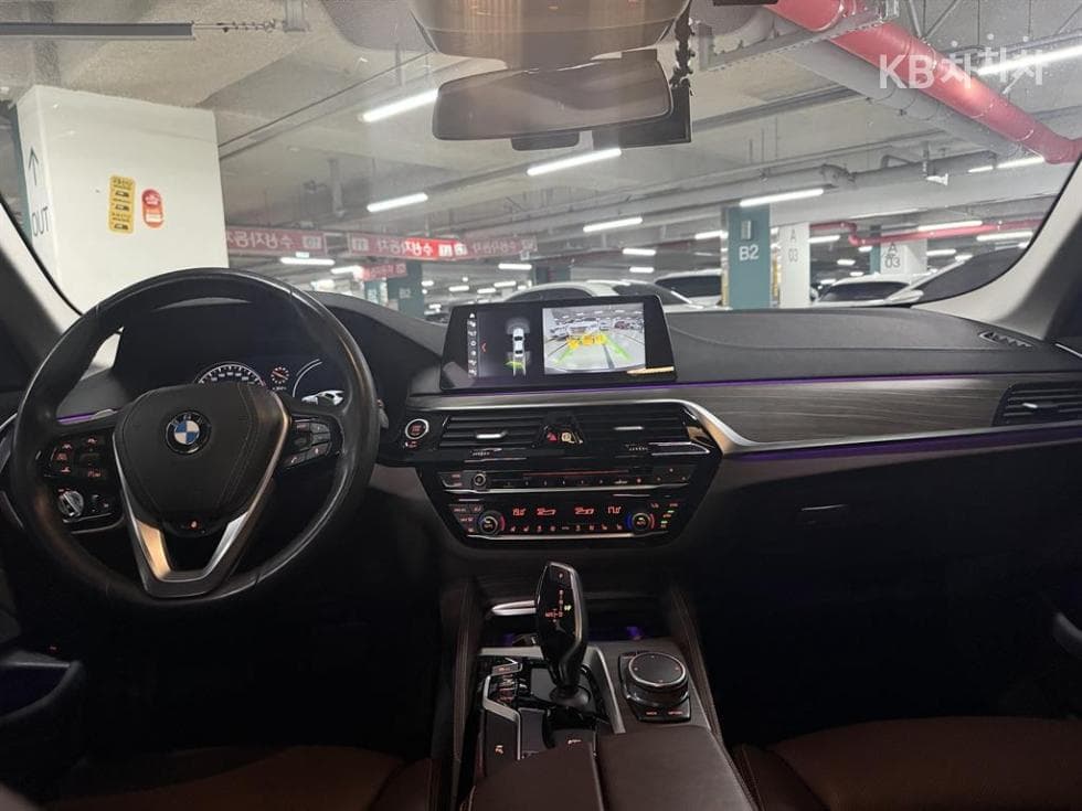 BMW 올Нов5 Серия (G30)520d xDrive Luxury Plus - 7