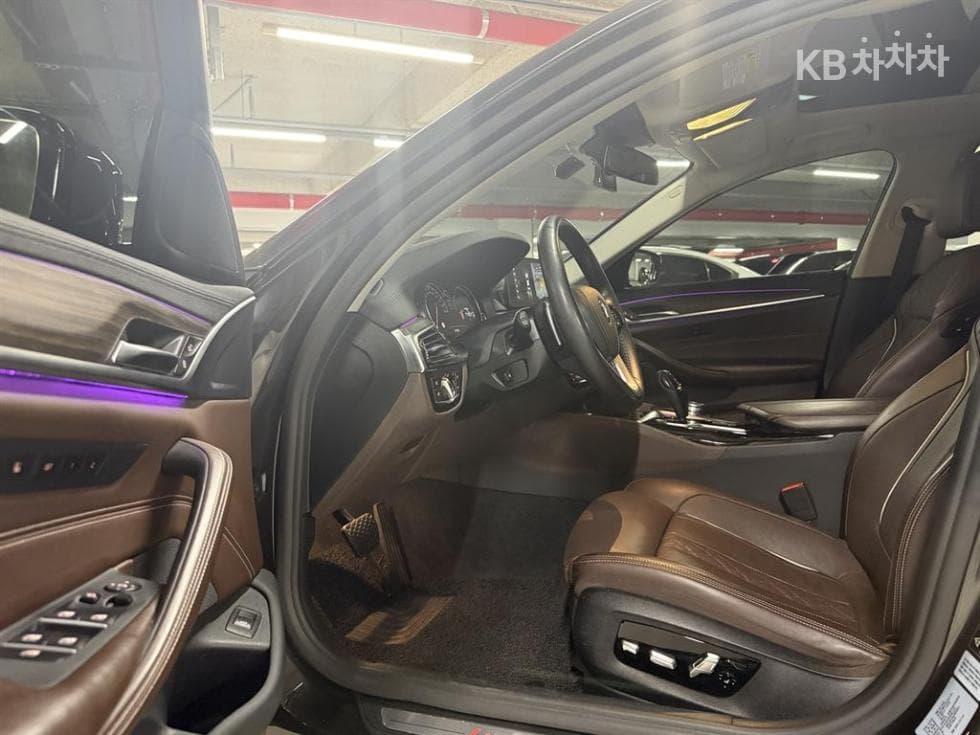 BMW 올Нов5 Серия (G30)520d xDrive Luxury Plus - 8