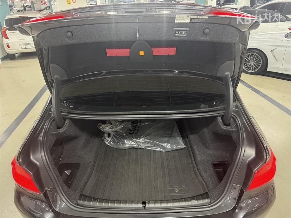 BMW 올Нов5 Серия (G30)520d xDrive Luxury Plus - 17