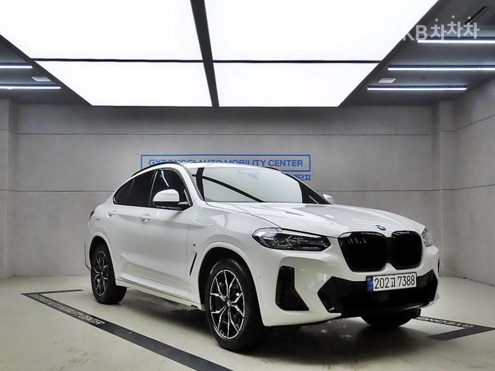 BMW New X4 (G02) xDrive 20i xLine - Image 1