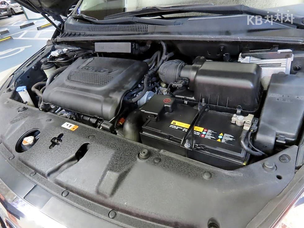 Kia Carnival RNewCarnival Limousine GLX Highest-end Type - 19