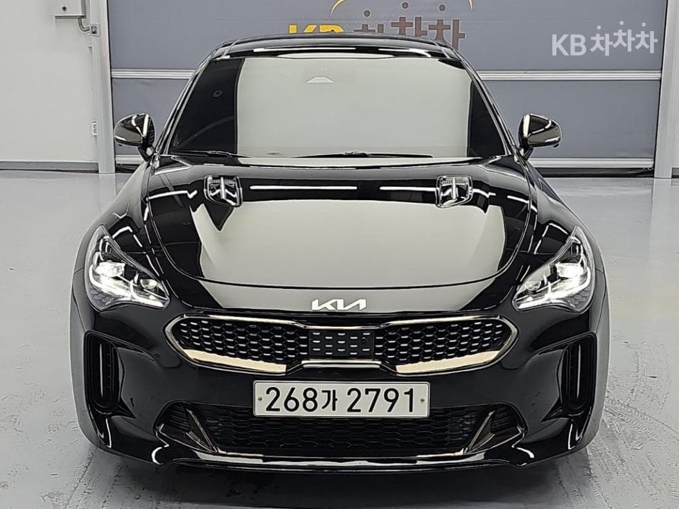 Kia Stinger Meister3.3 Gasoline Turbo 4WD 아크로 에디션 - 2