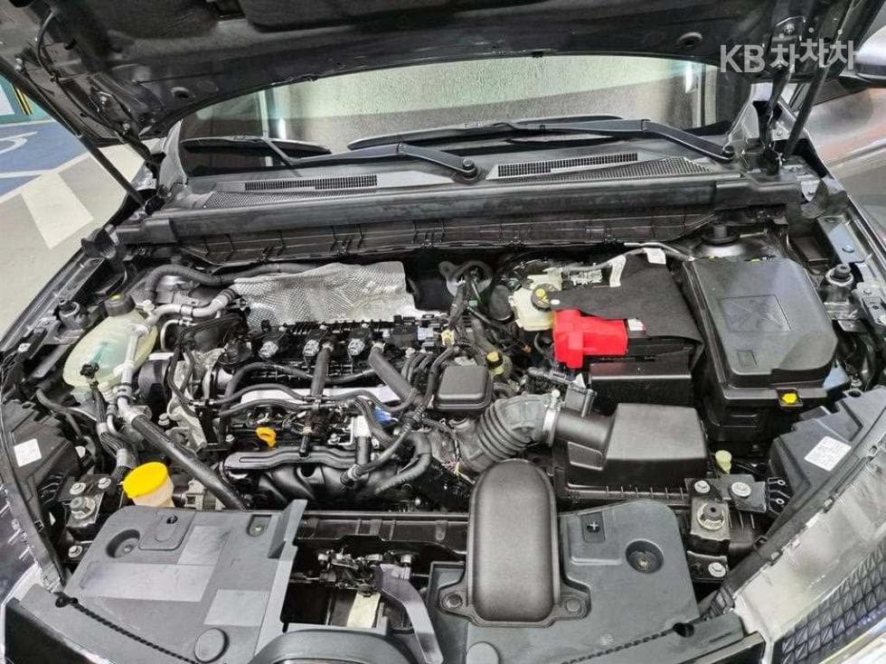 Рено Корея XM31.6 GTe RE - 19