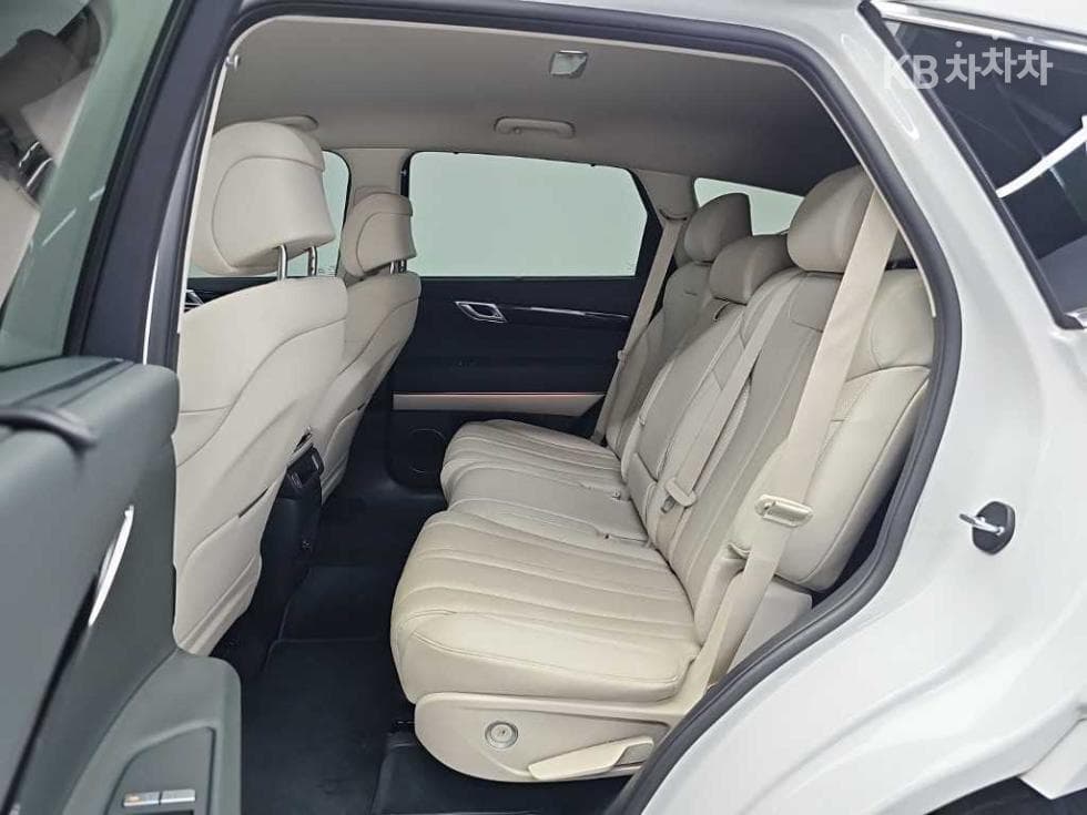 Дженезис G80(RG3)2.5 Турбо Бензин Директ Инжекция 2WD - 12