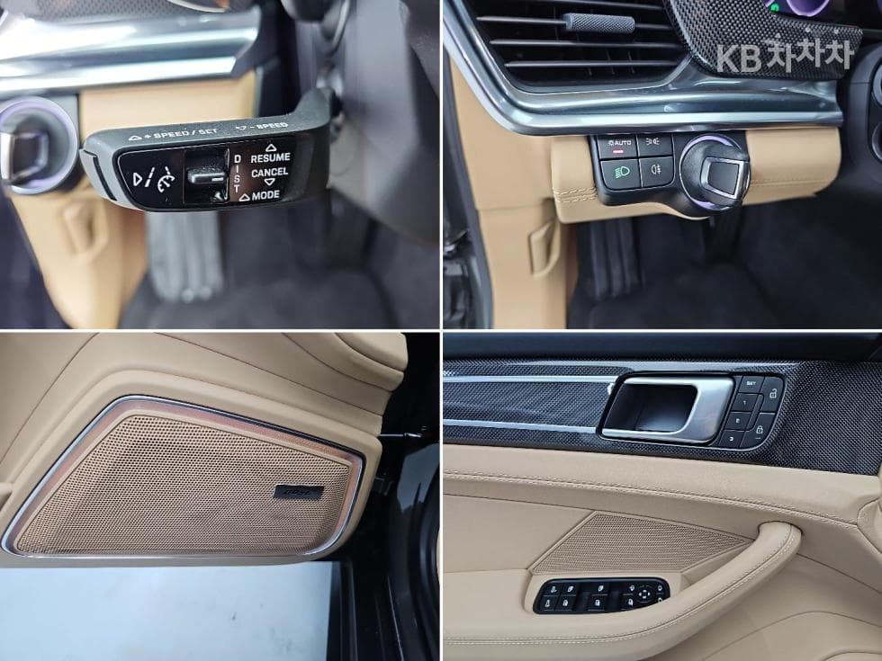 Porsche 파나메라 (971)2.9 4 Platinum Edition - 19