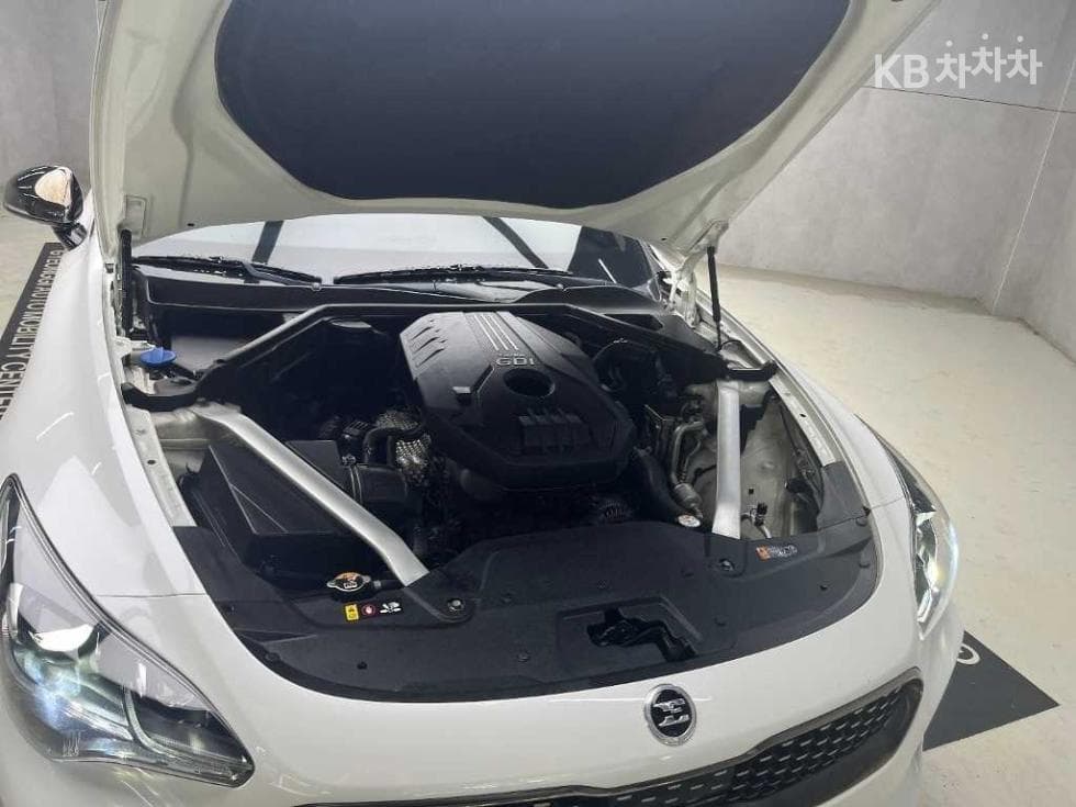 Kia Stinger2.0 Turbo 2WD 플래티넘 - 16