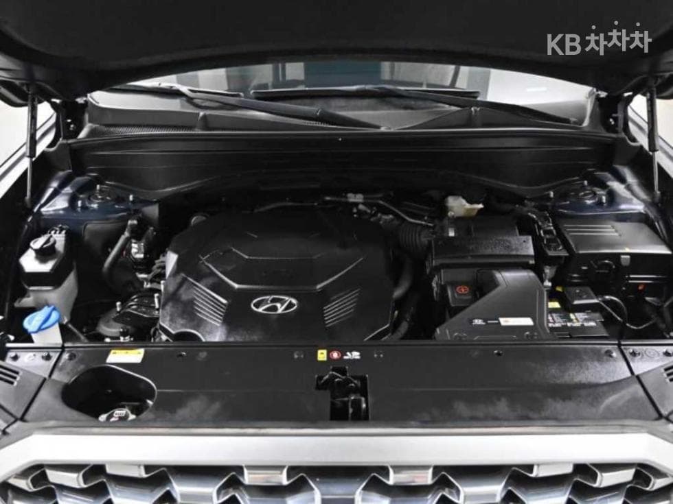 Hyundai Palisade3.8 Gasoline 7-seater (Limousine) Prestige - 6