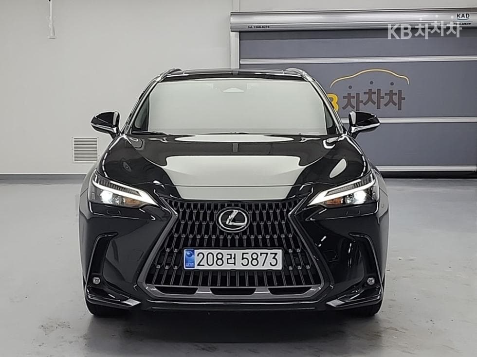 Lexus NX (Lexus SUV)(AZ20)350h Premium - 2