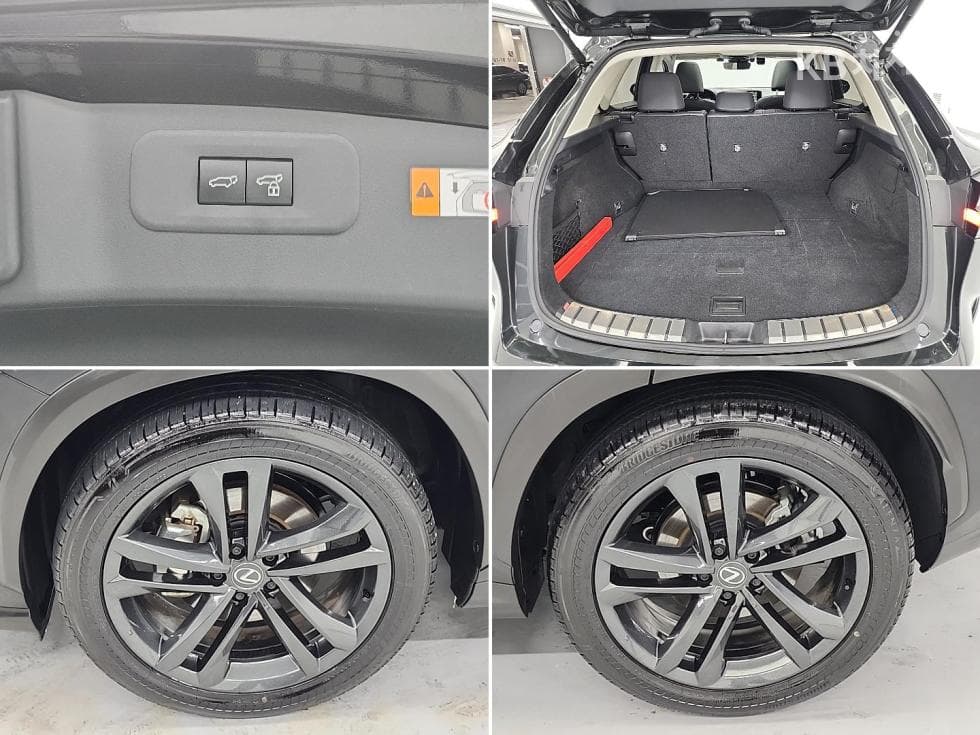 Lexus NX (Lexus SUV)(AZ20)350h Premium - 19