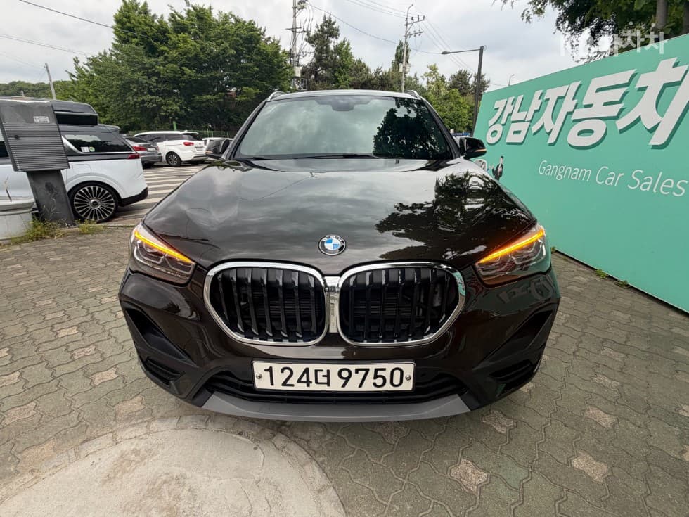 BMW X1 (F48)xDrive 20i Advantage - 2