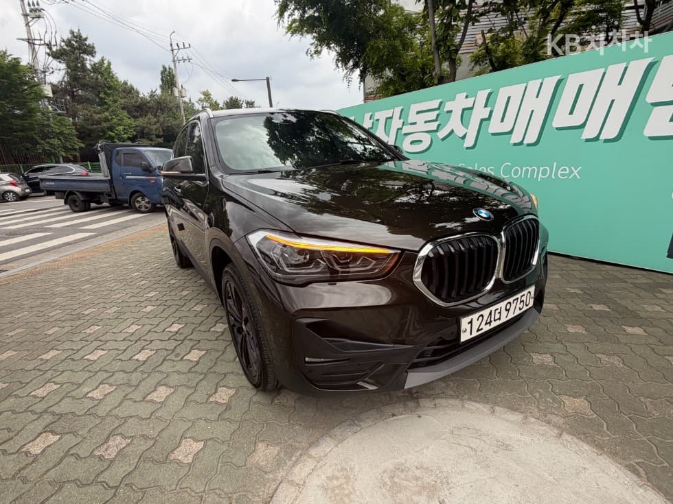 BMW X1 (F48)xDrive 20i Advantage - 4