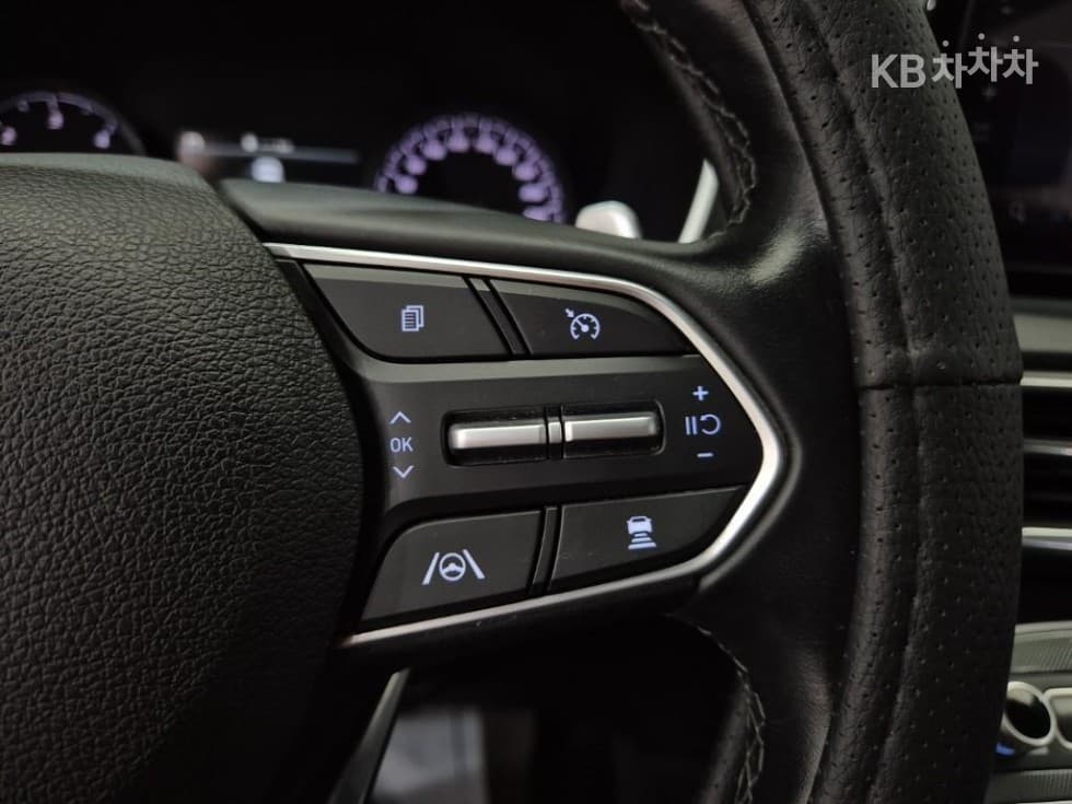 Hyundai The New (facelift) Santa Fe TMDiesel 2.2 2WD Premium 초이스 - 7