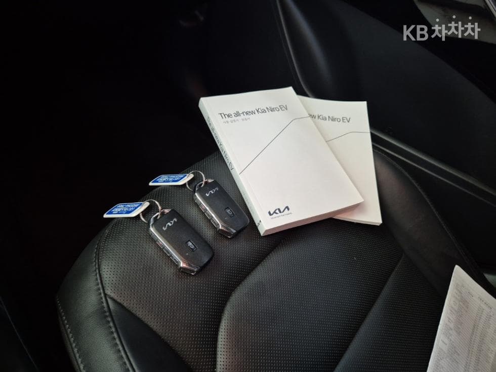 Kia The All New Niro EVAir Standard - 16