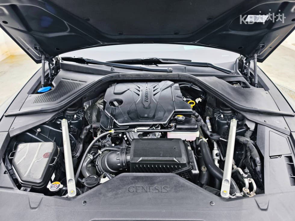 Genesis G80(RG3)2.5 Turbo Gasoline Direct Injection 2WD - 30
