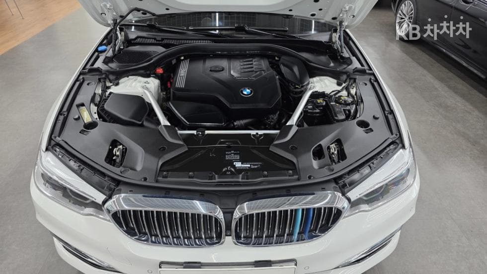 BMW 올New5 Series (G30)530i Luxury Line Plus - 6