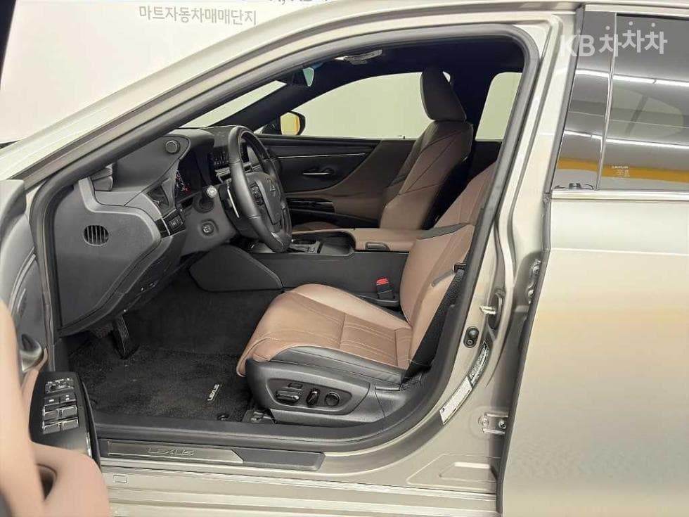 Lexus New 제너Ray (van)션 ES300h Luxury+ - 11