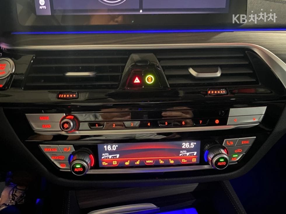 BMW 올New5 Series (G30)530i Luxury - 13