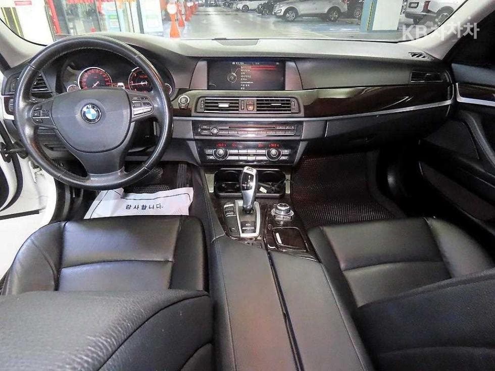 BMW New5 Series520d F10 - 10