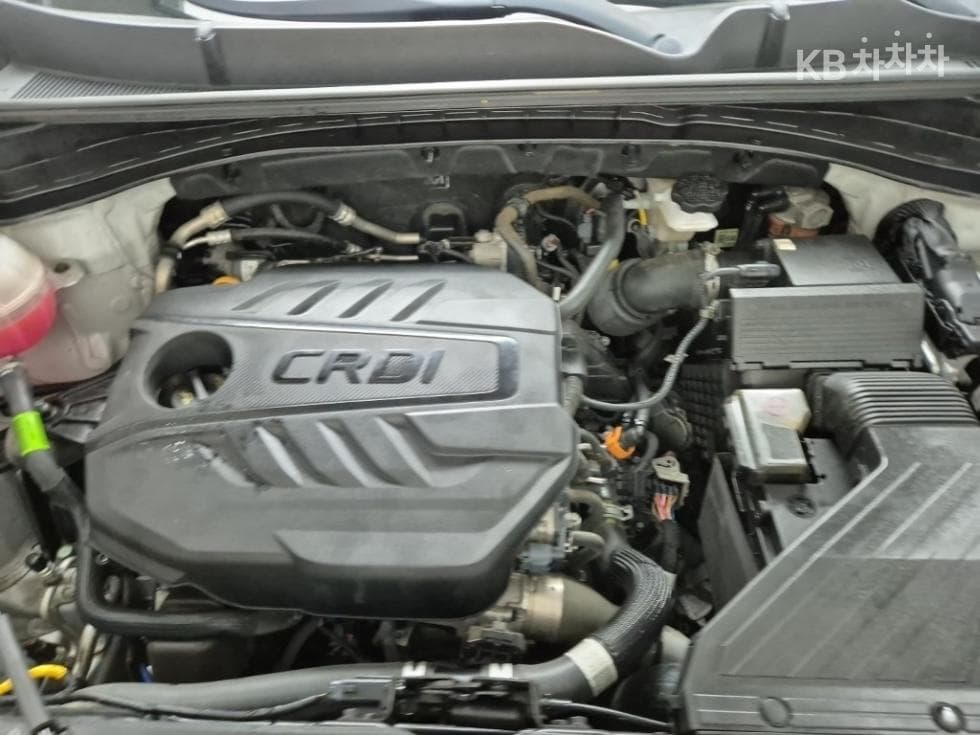 (250no3602)Kia Sportage The Bold Smartstream D 1.6 Diesel 2WD Trendy - 5