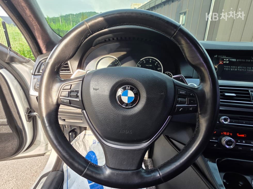 BMW New5 Series528i xDrive Luxury Standard - 13