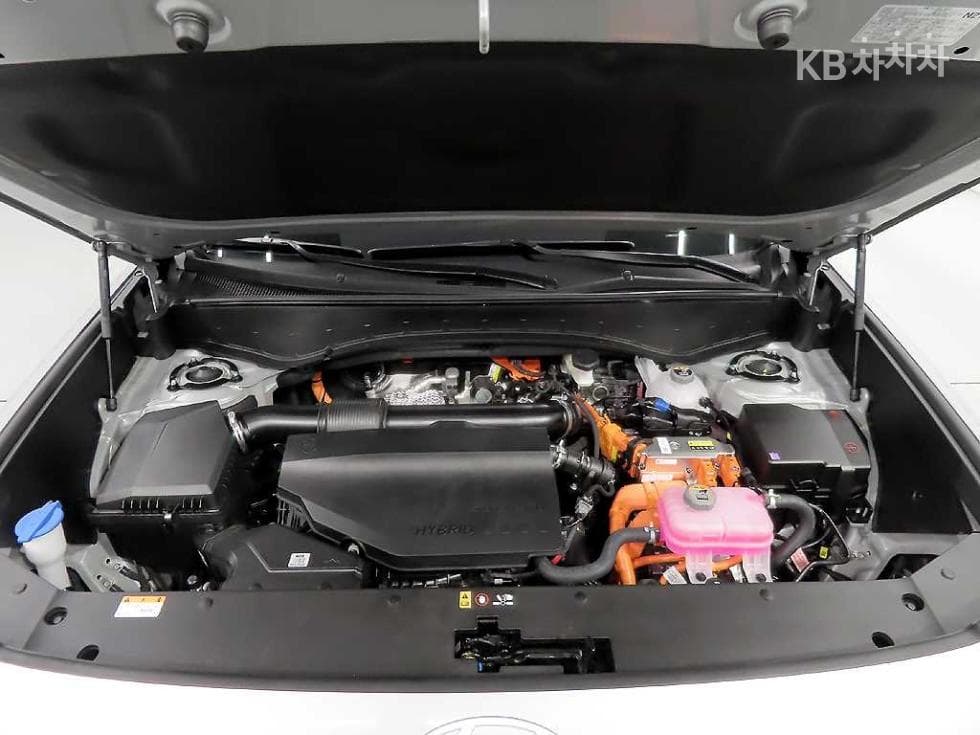 Hyundai The All New Palisade Hybrid2.5L gasoline Turbo 2WD 9-seater Calligraphy - 19