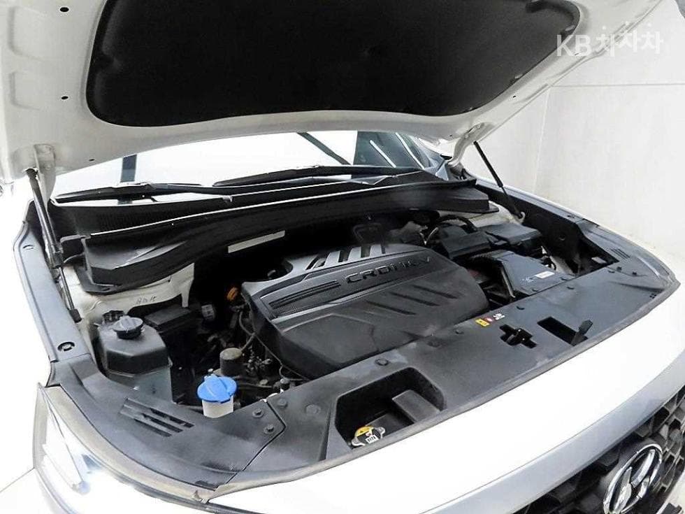 Hyundai Santa Fe TMDiesel 2.0 2WD Exclusive - 19