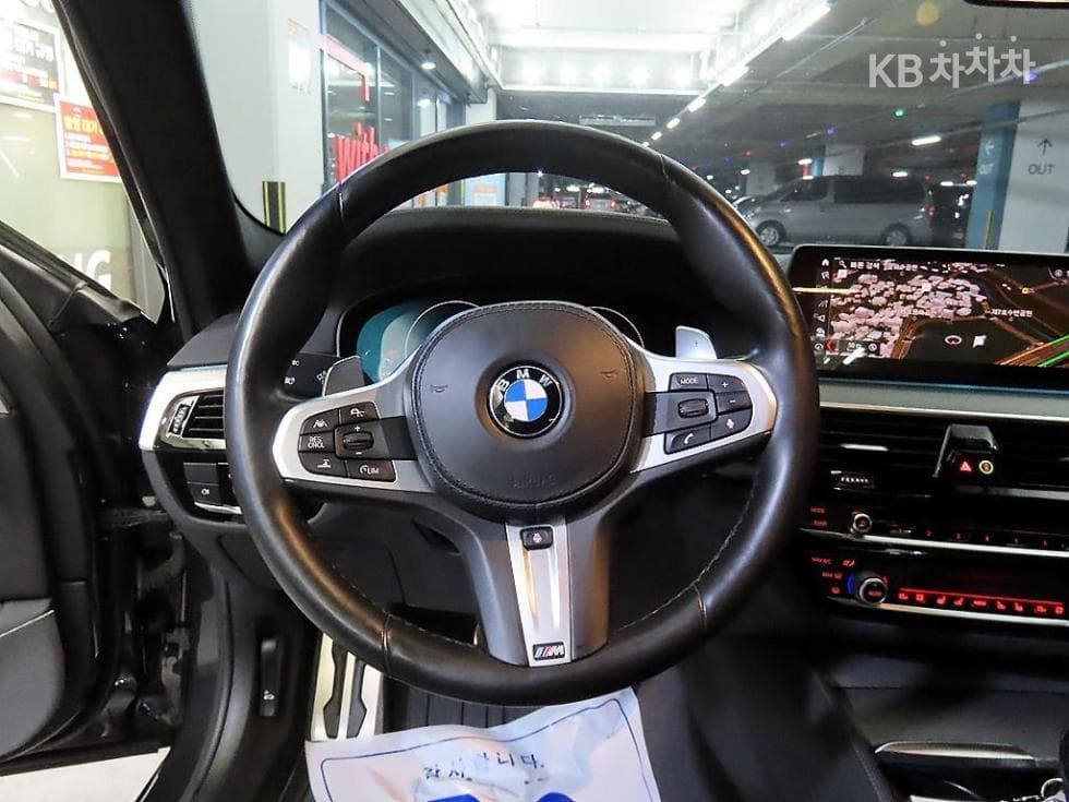 BMW 올New5 Series (G30)M550d xDrive - 8